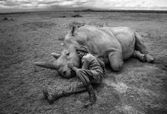 Ami Vitale the best wildlife photographers in the world