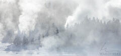 Crystalline Morning In Yellowstone