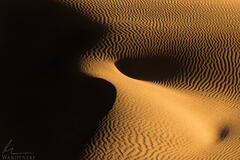 Death Valley Abstract Photography Mesquite Dunes