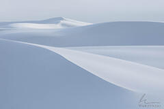 Dune Lines