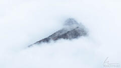 Fog in Death Valley National Park