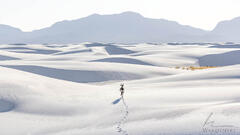 Into The Dunes