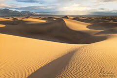 Mesquite Dunes After Sunrise In Death Valley