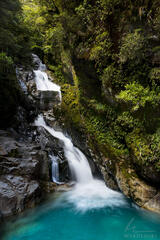 Emerald Forest and Falls