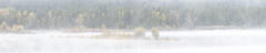 Misty Morning