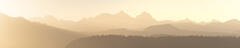 Mountain Haze