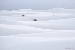 White Sands Photography Tips - A Complete Guide