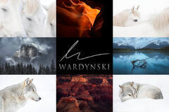 Santa Fe Fine Art Landscape & Wildlife Photographer Mike Wardynski