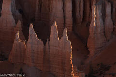 Southwest-10.jpg