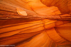 Southwest-6.jpg