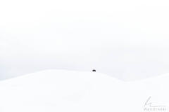 Vast Expanse