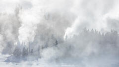 Yellowstone in Winter Photography Workshop 2023 Trip Report