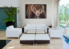 Stare Down (Color) Fine Art Metal Print in Black  Float Frame
