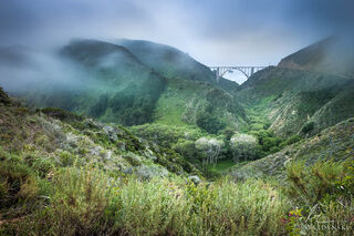 Bixby Fog