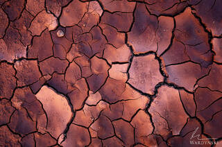 Desert Floor