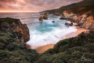 The Cove