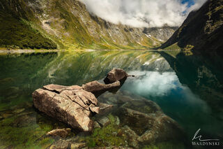 Invitation to Swim