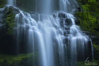 Essence of the Pacific North West