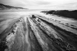 Prehistoric Shore II