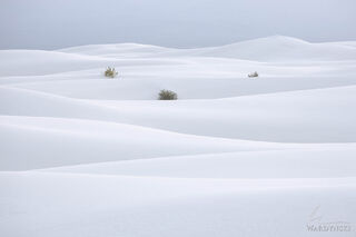 Sea of Sand