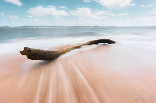 Washed Ashore
