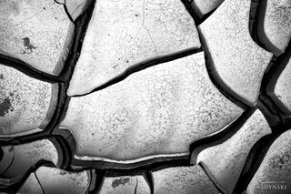 Mud Tiles