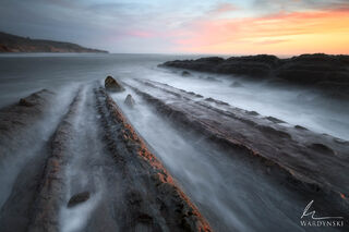 Prehistoric Shore