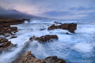 Swirling Tide