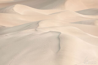 Dune Patterns