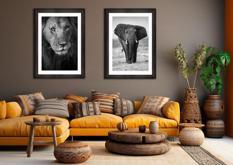 New Africa Photography Gallery Added