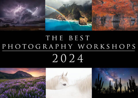 The Best Photography Workshops in 2024