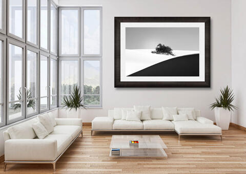 New Colorado Art Show Added To The Calendar | Cheesman Park