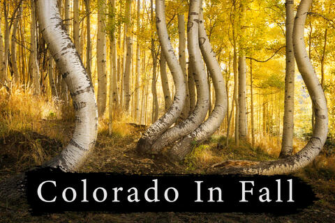 Colorado Fall Photography Workshop | OCT 1st  - OCT 5th 2026