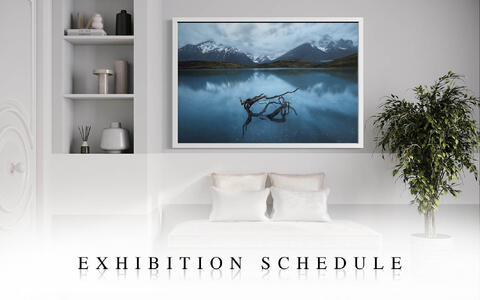 The New Exhibition Page Is Here!