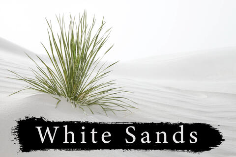 White Sands Photography Workshop | April 2 - 5 2027