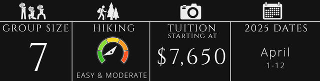 Patagonia photography workshop graphic