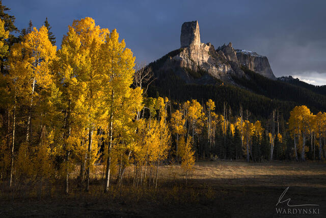 Autumn foliage on Aspen trees on Cimarron Ridge in the San Juan Mountains of Colorado.