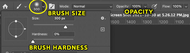 Brush Settings in Photoshop.