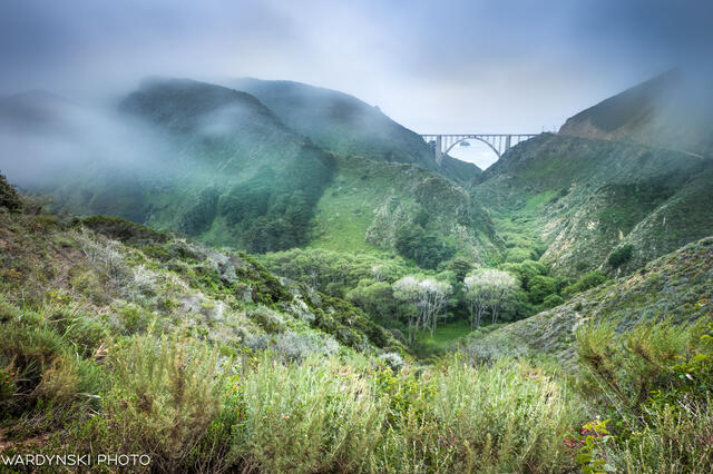 CA-Coast-18.jpg