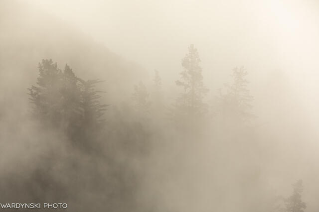 CA-Coast-6.jpg