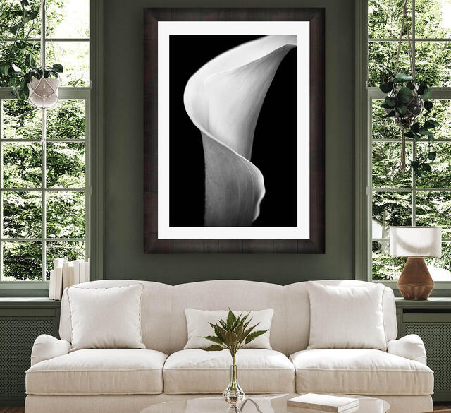 California fine art photography of cala lilly flower