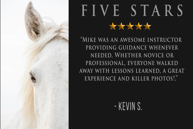 Camargue photography workshop with 5 star review