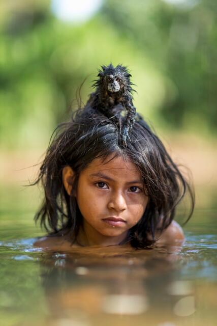 Charlie Hamilton monkey photograph environmental portrait