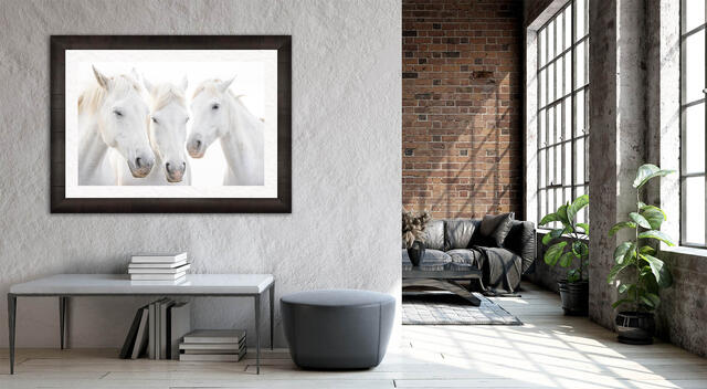 Contemporary White-Horse Photography For Luxury Homes