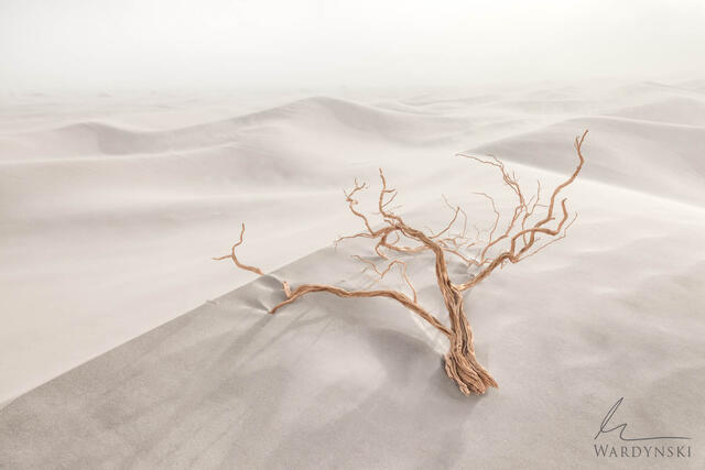 Death Valley Photo Tour