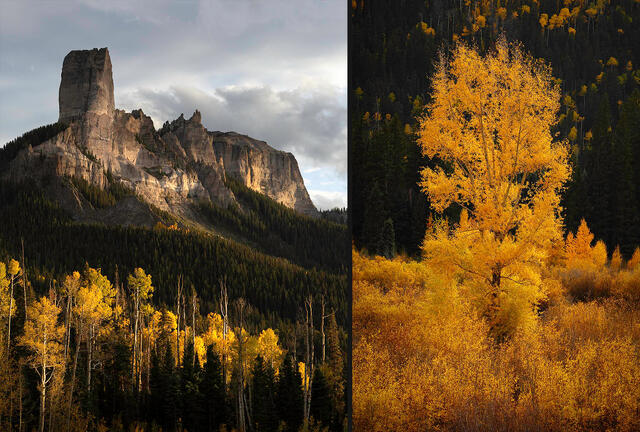 Fall colors during their peak in the San Juan Mountains, Colorado