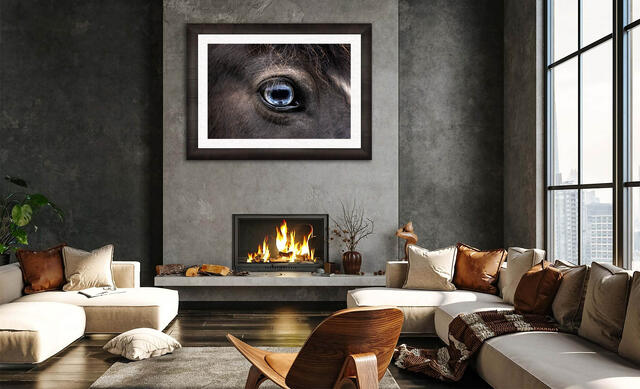 Fine Art Equine Photography for Modern Homes