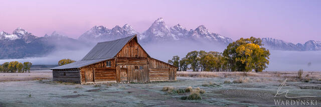 Foggy Morning on Mormon Row