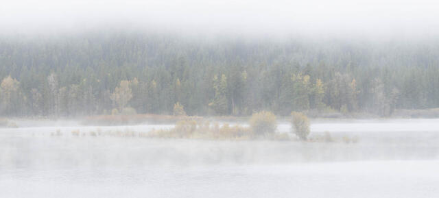 foggy morning in Grand Teton National Park