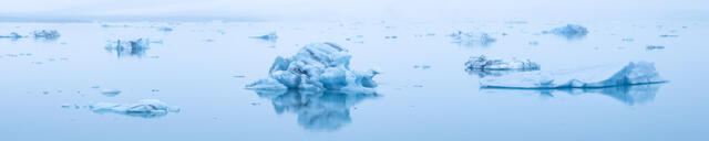 Icebergs in The Mist